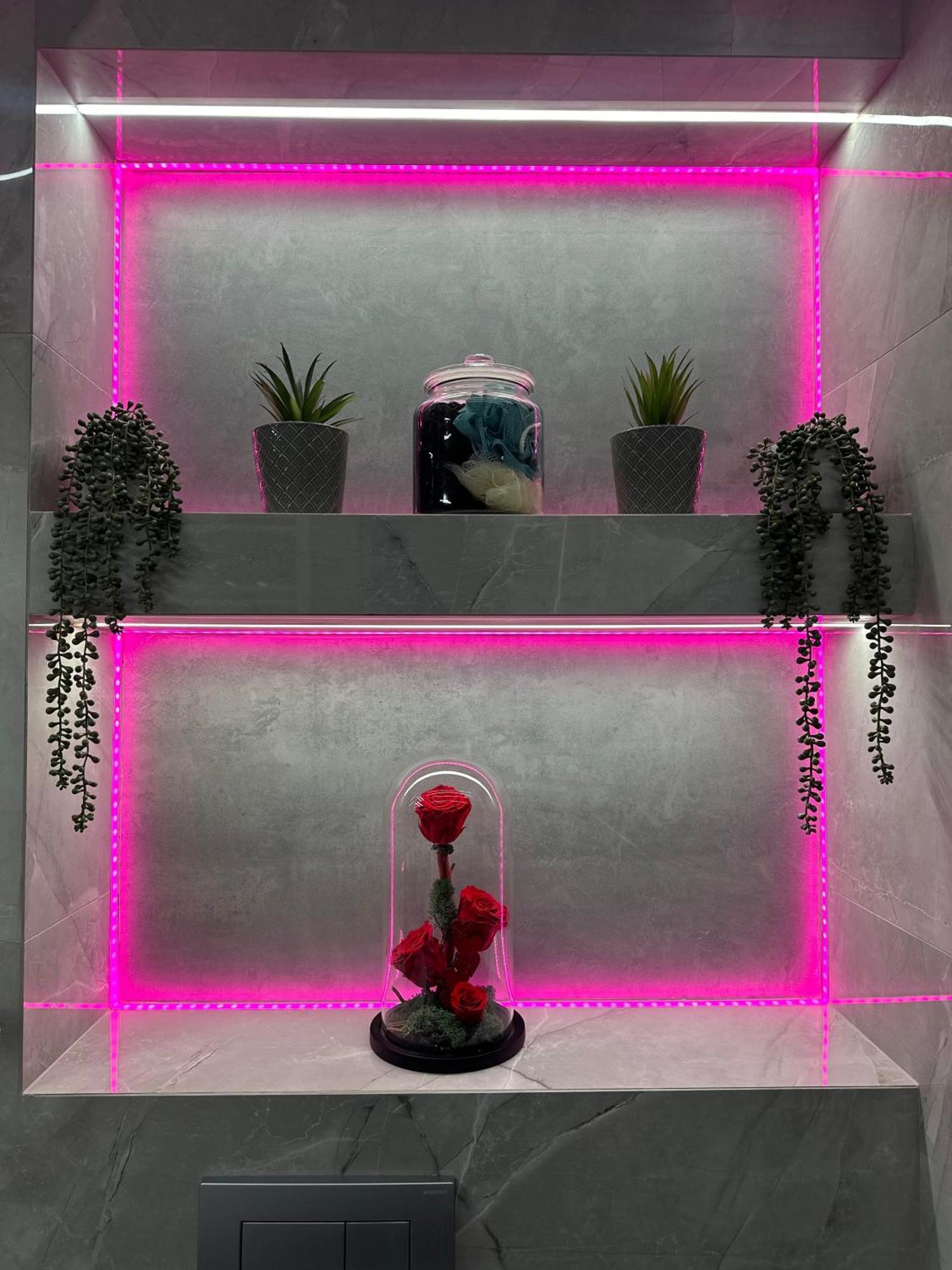 Oasis